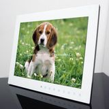 MP3 MP4 Video Music Play Digital Photo Frame 15 Inch