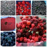 IQF Frozen Mixed Berries Fruits of Raspberry Strawberry