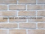 Artificial Culture Stone Use for Outer Wall (ASB-0218-W02)