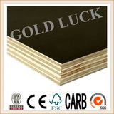 13-Ply Black Film Faced Plywood, Marine Plywood, Shutter Plywood