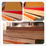 Melamine Faced Plywood Sheet, Laminated Plywood