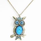 Vintage Owl Pendant Fashion Jewelry Necklace (HNK-10844)