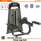 Prone Leg Curl / Exercise Equipment / Bodybuilding Equipment