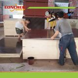 High Quality Waterproof Black Film Faced Plywood for Sale