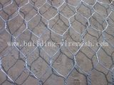 Galvanized Professional Hexagonal Wire Netting