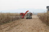 Sugarcane Harvester (4GQ-260)