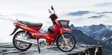 Cub Motorcycle (TIN110 FULL)