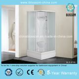 Triangle Sliding Door Matt Glass Complete Shower Cabin/Room (BLS-9705)