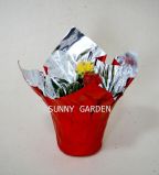 Beautiful Plastic BOPP Flower/Planter Pot Cover in Various Colour and Size (XY-FPC)