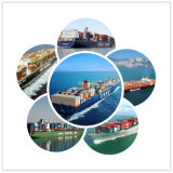 Expert Logistics Service From China to Brazil Shipping