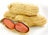 Roasted Peanut in Shell