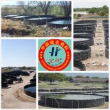Shrimp Farm Unococ for Pond HDPE Geomembrane