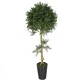 Strange Artificial Pine and Cypress Bonsai Tree (ISO9001)
