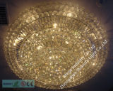 LED Ceiling Lamp Crystal Ceiling Light (2505)