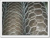 Hexagonal Wire Mesh