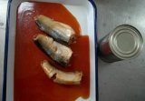 Mackerel in Tomato Sauce (7113)