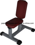 New Utility Bench Free Weight Commercial Fitness/Gym Equipment with SGS