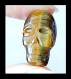 Tiger Eye Skull Carving Cabochon - 2515X7 Mm
