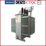 35kv 10000kVA Three Phase Two Winding on Load Tap Changing Oil Immersed Power Transformer