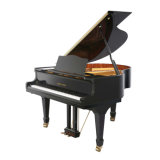 High Quality and Reasonable Price Grand Piano