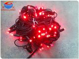 Outdoor LED Christmas Lighting Decoration