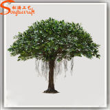 High Quality Garden Decoration Artificial Plant Bayan Ficus Tree