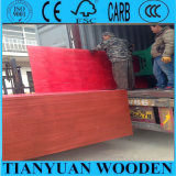 Red Color Pine Face Waterproof Plywood Sheet