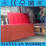 Red Color Pine Face Waterproof Plywood Sheet