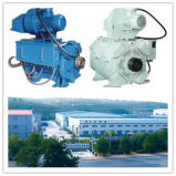 Oil Drilling Direct Current Electric Motor