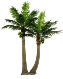 Indoor&Outdoor Artificial Coconut Palm Tree