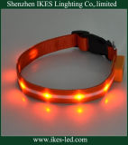 Pet LED Dog Collar with Battery