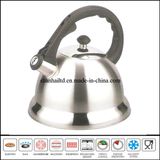 Stainless Steel Hotel Kettle