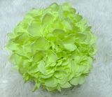 Shaanxi Longstar New Material Technology Co., Ltd.
