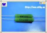 Rx21 Wirewound Resistor with RoHS