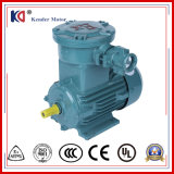 Three Phase Copper Wire Explosion Proof 0.75kw Electric Motors