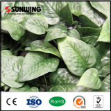 Sunwing Hot Artificial Plastic Palm Leaves for Garden