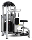 Rotary Torso Gym Equipment/Fitness Machine