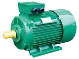 Ye3 Series AC Electric Motor Cast Iron 4p 45kw