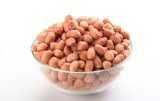Hot Sale Fresh Healthy Non-Gmo Roasted Peanut with Good Quality