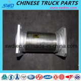 Corrugated Pipe for Shacman Truck Spare Parts (Dz9112540180)