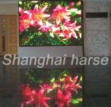 Indoor Full Color LED Display (P4mm)