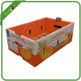Ecofriendly Corrugated Cardboard Boxes Vegetables Fruit
