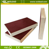 10mm -21mm Film Faced Plywood & Construction Plywood (w15082)