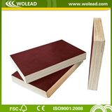 10mm -21mm Film Faced Plywood & Construction Plywood (w15082)