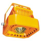 Lighting Fixtures for Potentially Explosive Atmospheres
