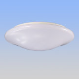 CRI95 Toilet LED Ceiling Light (Hz-GYXD15WA)