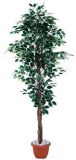 Artificial Plants and Flowers of Ficus Tree Gu-Bj-303-1008L-6'