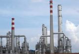 Magnesium Oxide for Petrochemical Catalyst