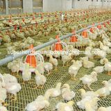 Automatic Poultry Pan Feeder and Nipple Drinker for Broiler