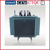 10kv Electric Oil Immersed Power Transformer